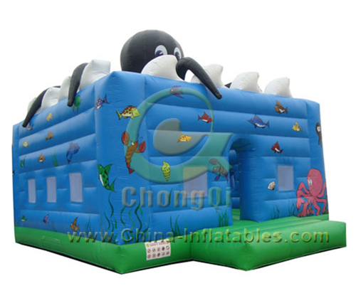 inflatable bouncer
